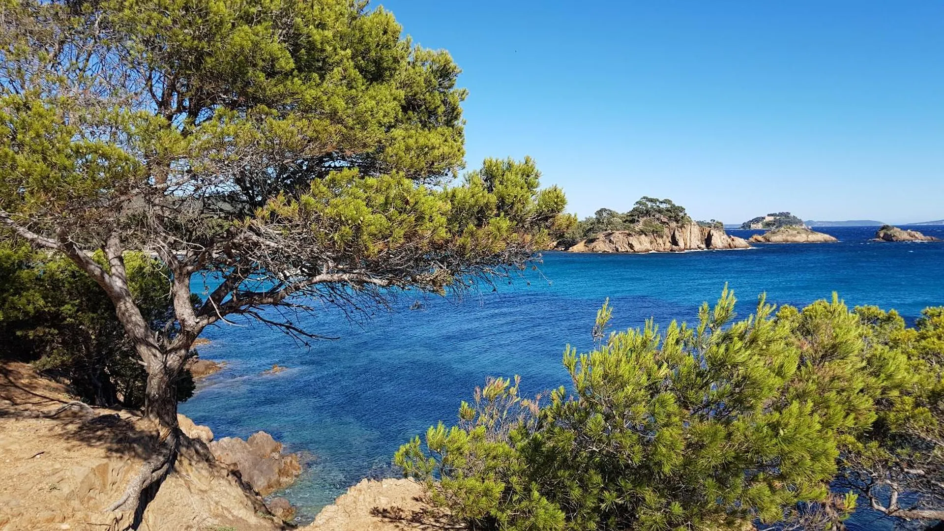 Rez De Jardin T3 Recent Et Calme Au Nouvelles Terres A La Londe Les Maures Apartment