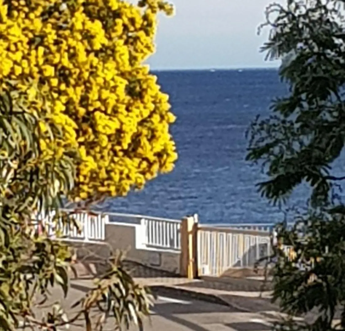 Rez De Jardin T3 Recent Et Calme Au Nouvelles Terres A La Londe Les Maures Apartment France