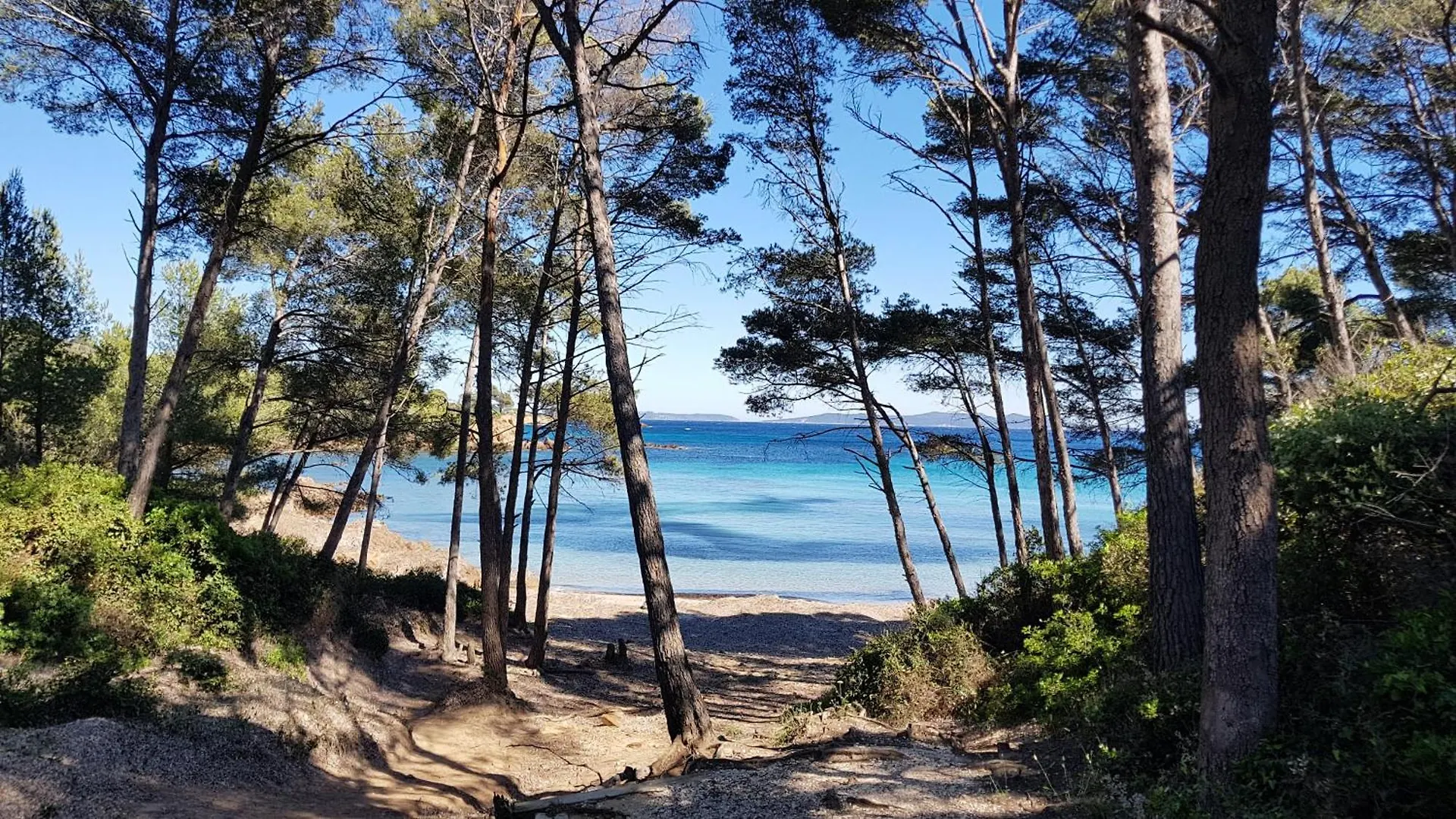 Rez De Jardin T3 Recent Et Calme Au Nouvelles Terres A La Londe Les Maures Apartment 0*, La Londe-les-Maures