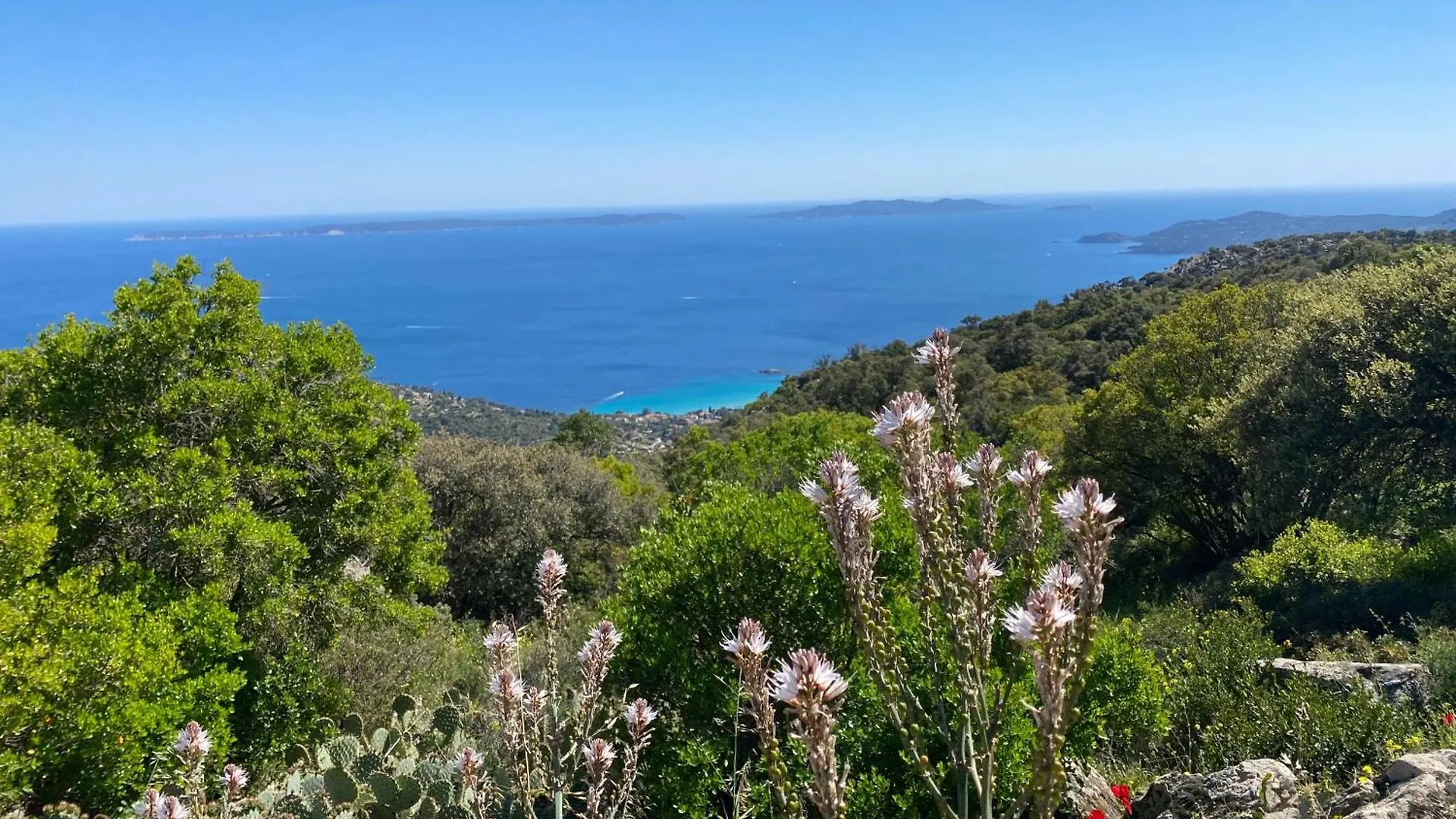 Rez De Jardin T3 Recent Et Calme Au Nouvelles Terres A La Londe Les Maures Apartment
