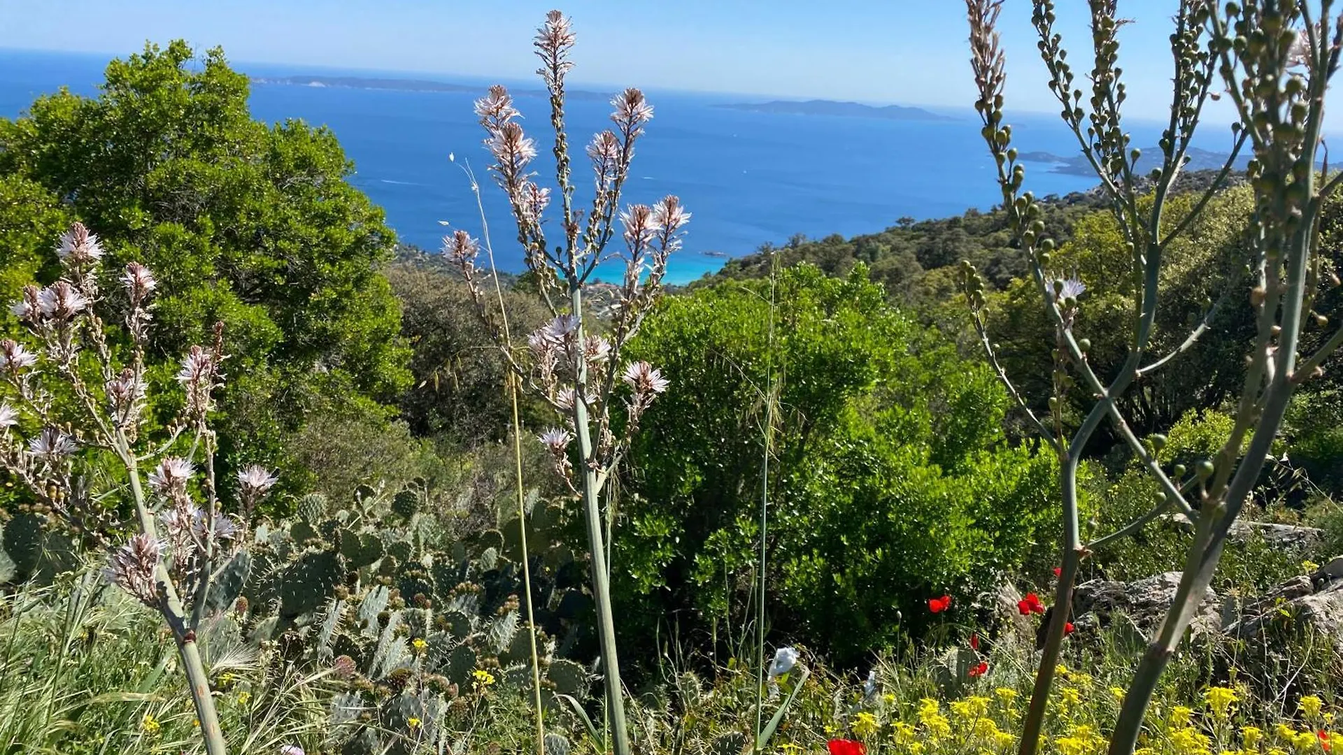 Rez De Jardin T3 Recent Et Calme Au Nouvelles Terres A La Londe Les Maures Apartment