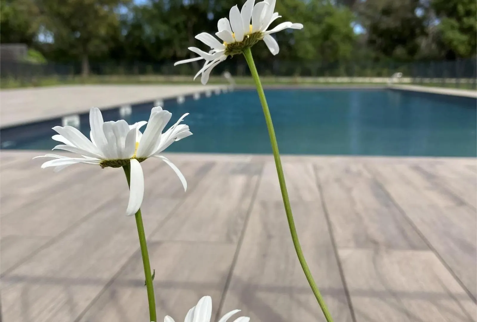 Rez De Jardin T3 Recent Et Calme Au Nouvelles Terres A La Londe Les Maures Apartment