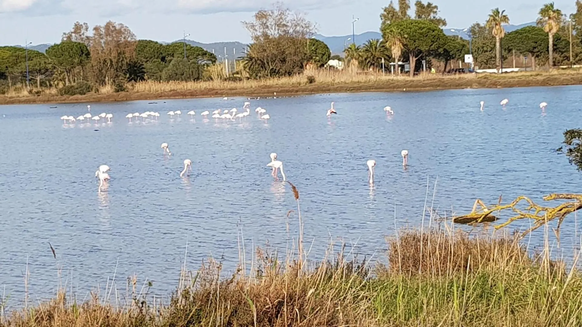 Rez De Jardin T3 Recent Et Calme Au Nouvelles Terres A La Londe Les Maures Apartment 0*, La Londe-les-Maures France